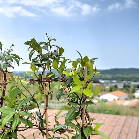 L'Elegante Confort, Clim & Vue Imprenable Bassillac Exterior foto